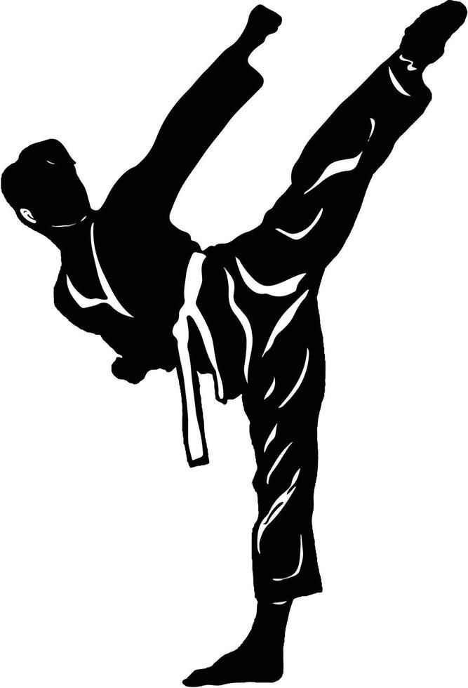 Warriors Kickboxing Paz de Ariporo