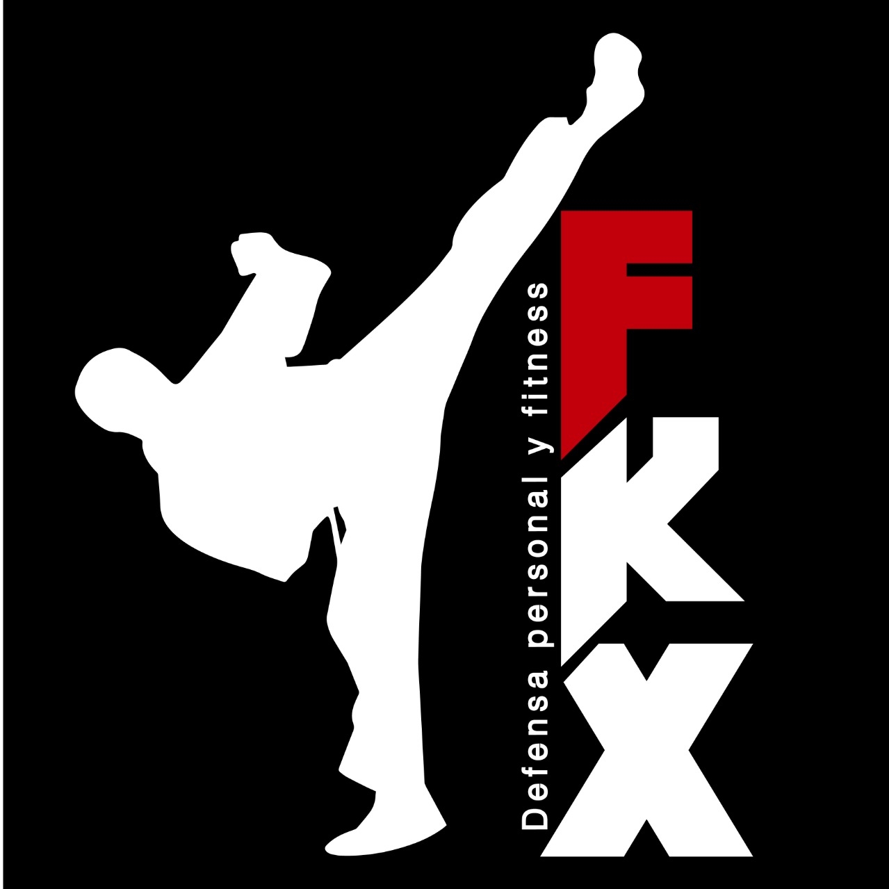 TEAM FKX Artes de Combate